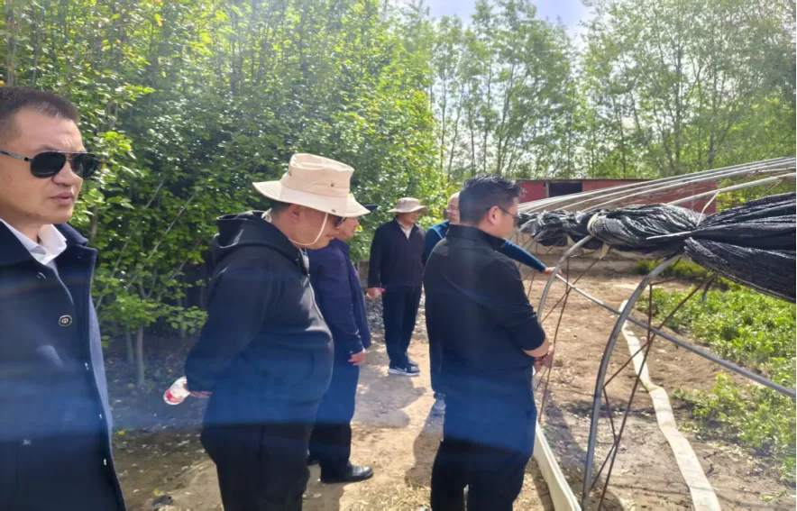 拉萨高新市政（集团）有限公司