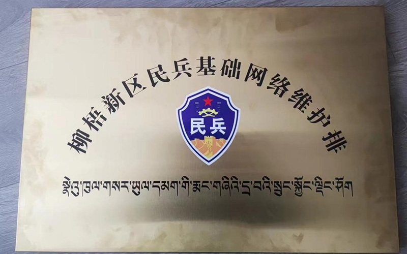 成立柳梧新区民兵基础网络维护排