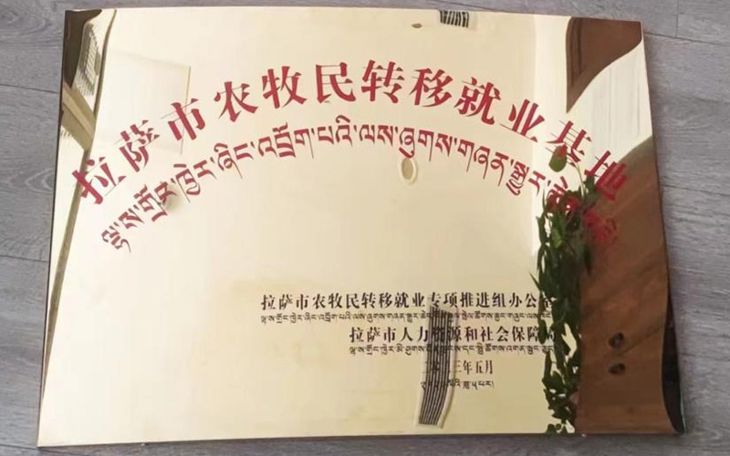解决易地搬迁、失地农牧民就业