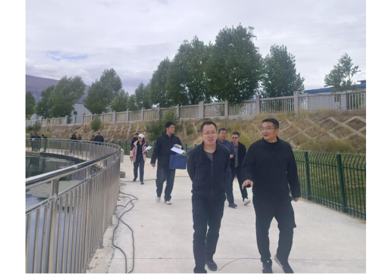 生态环境部长江流域生态环境监督管理局傅慧淅一行莅临柳梧新区污水处理厂调研指导工作