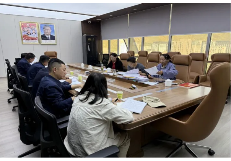 市委第二督导组赴拉萨高新市政（集团）有限公司调研指导深入贯彻中央八项规定精神学习教育工作